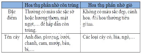 Khoa học lớp 5 Bài 52: Sự sinh sản của thực vật có hoa