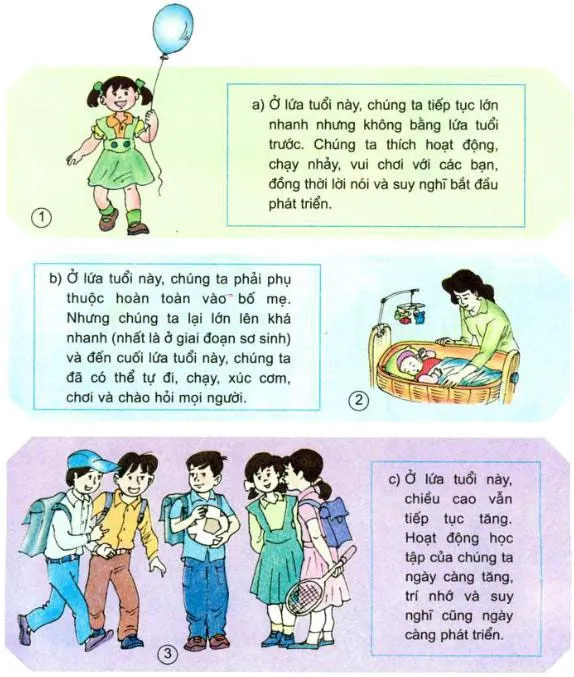 Khoa học lớp 5 Bài 6: Từ lúc mới sinh đến tuổi dậy thì