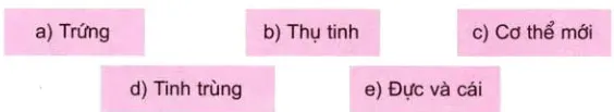 Khoa học lớp 5 Bài 61: Ôn tập: Thực vật và động vật