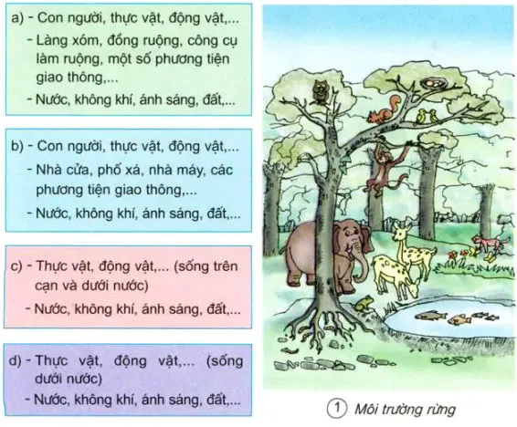 Khoa học lớp 5 Bài 62: Môi trường