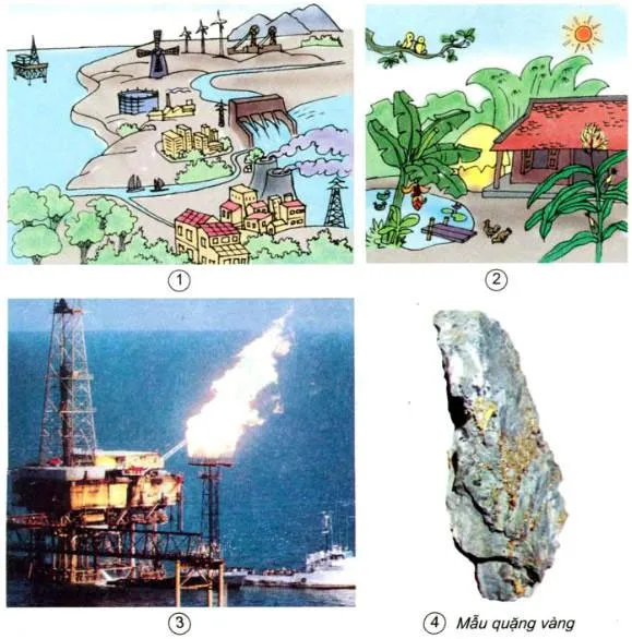 Khoa học lớp 5 Bài 63: Tài nguyên thiên nhiên