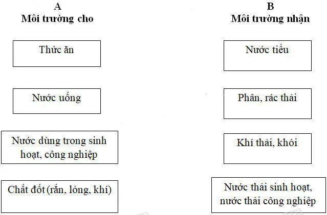 Khoa học lớp 5 Bài 64: Vai trò của môi trường tự nhiên đối với đời sống con người