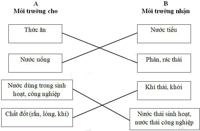 Khoa học lớp 5 Bài 64: Vai trò của môi trường tự nhiên đối với đời sống con người