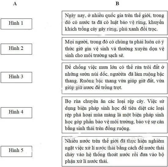 Khoa học lớp 5 Bài 68: Một số biện pháp bảo vệ môi trường