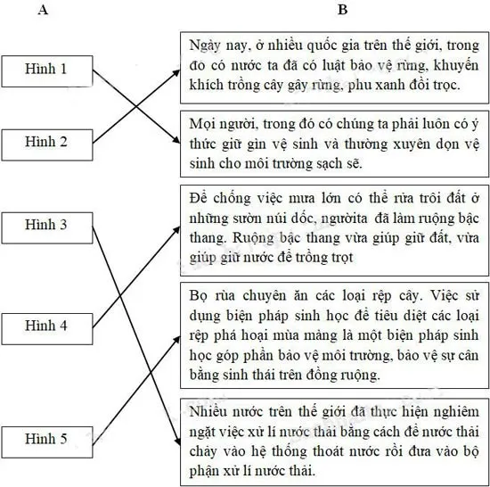 Khoa học lớp 5 Bài 68: Một số biện pháp bảo vệ môi trường