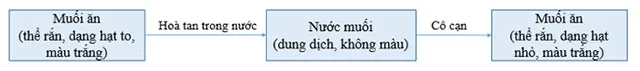 KHTN 8 Bài 1: Biến đổi vật lí và biến đổi hóa học