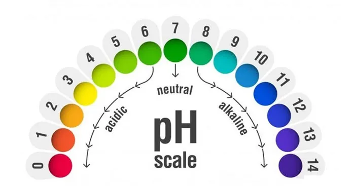 KHTN 8 Bài 10: Thang pH