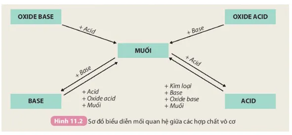 KHTN 8 Bài 11: Muối