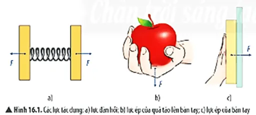 KHTN 8 Bài 16: Áp suất