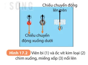 KHTN 8 Bài 17: Lực đẩy Archimedes