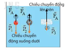 KHTN 8 Bài 17: Lực đẩy Archimedes