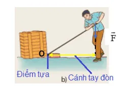 KHTN 8 Bài 19: Đòn bẩy và ứng dụng