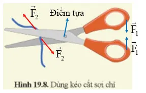 KHTN 8 Bài 19: Đòn bẩy