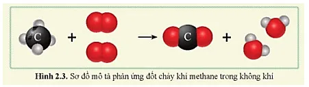 KHTN 8 Bài 2: Phản ứng hóa học và năng lượng của phản ứng hóa học