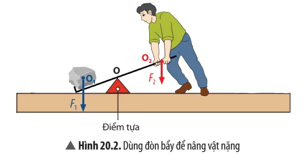 KHTN 8 Bài 20: Đòn bẩy