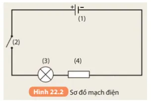 KHTN 8 Bài 22: Mạch điện đơn giản