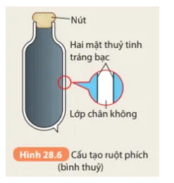 KHTN 8 Bài 28: Sự truyền nhiệt