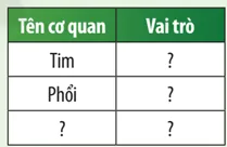 KHTN 8 Bài 29: Khái quát về cơ thể người