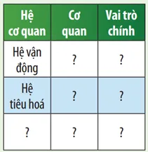 KHTN 8 Bài 29: Khái quát về cơ thể người