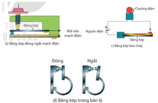 KHTN 8 Bài 29: Sự nở vì nhiệt