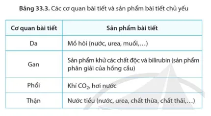 KHTN 8 Bài 33: Môi trường trong cơ thể và hệ bài tiết ở người