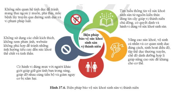 KHTN 8 Bài 37: Sinh sản ở người