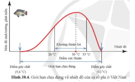 KHTN 8 Bài 38: Môi trường và các nhân tố sinh thái