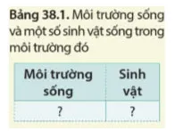 KHTN 8 Bài 38: Môi trường và các nhân tố sinh thái