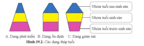 KHTN 8 Bài 39: Quần thể sinh vật