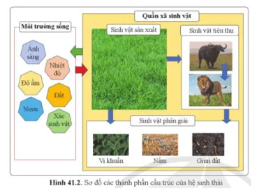 KHTN 8 Bài 41: Hệ sinh thái