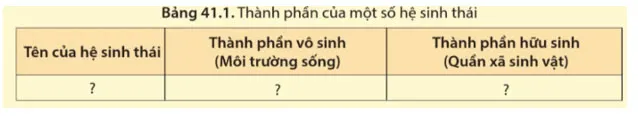 KHTN 8 Bài 41: Hệ sinh thái