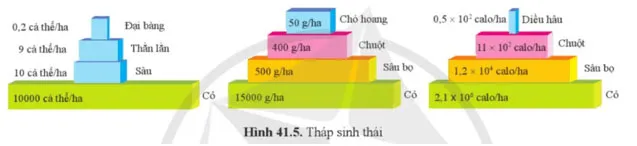 KHTN 8 Bài 41: Hệ sinh thái