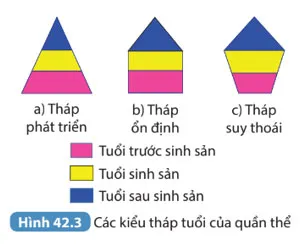 KHTN 8 Bài 42: Quần thể sinh vật