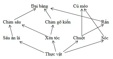 KHTN 8 Bài 44: Hệ sinh thái