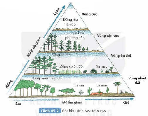 KHTN 8 Bài 45: Sinh quyển