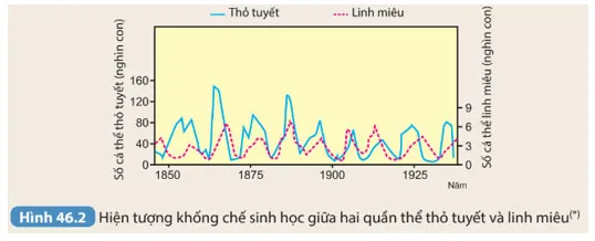 KHTN 8 Bài 46: Cân bằng tự nhiên