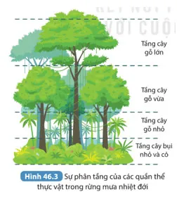 KHTN 8 Bài 46: Cân bằng tự nhiên