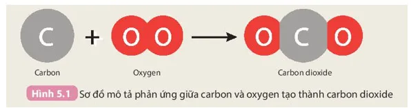 KHTN 8 Bài 5: Định luật bảo toàn khối lượng và phương trình hóa học