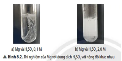 KHTN 8 Bài 8: Tốc độ phản ứng và chất xúc tác