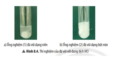 KHTN 8 Bài 8: Tốc độ phản ứng và chất xúc tác