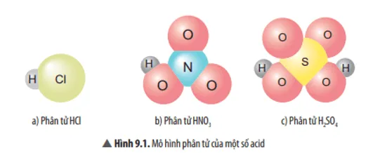 KHTN 8 Bài 9: Acid