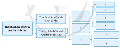 KHTN 8: Bài tập Chủ đề 8 và 9