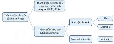 KHTN 8: Bài tập Chủ đề 8 và 9