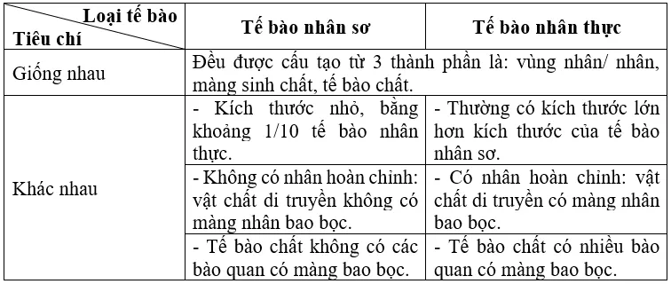 KHTN Lớp 6 Bài 12: Tế bào – đơn vị cơ sở của sự sống