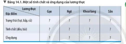 KHTN Lớp 6 Bài 14: Một số lương thực – thực phẩm