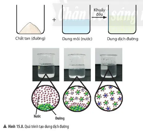 KHTN Lớp 6 Bài 15: Chất tinh khiết – Hỗn hợp