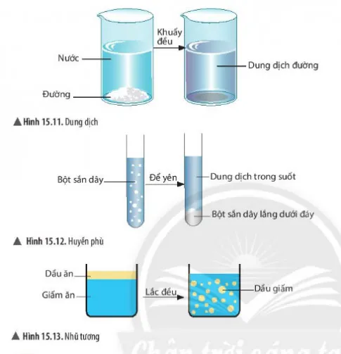 KHTN Lớp 6 Bài 15: Chất tinh khiết – Hỗn hợp