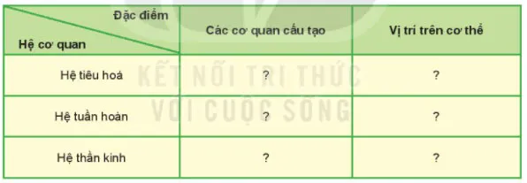 KHTN Lớp 6 Bài 24: Thực hành: Quan sát và mô tả cơ thể đơn bào, cơ thể đa bào