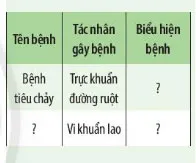 KHTN Lớp 6 Bài 25: Vi khuẩn