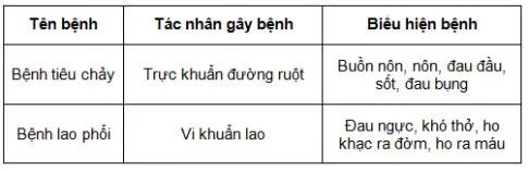 KHTN Lớp 6 Bài 25: Vi khuẩn